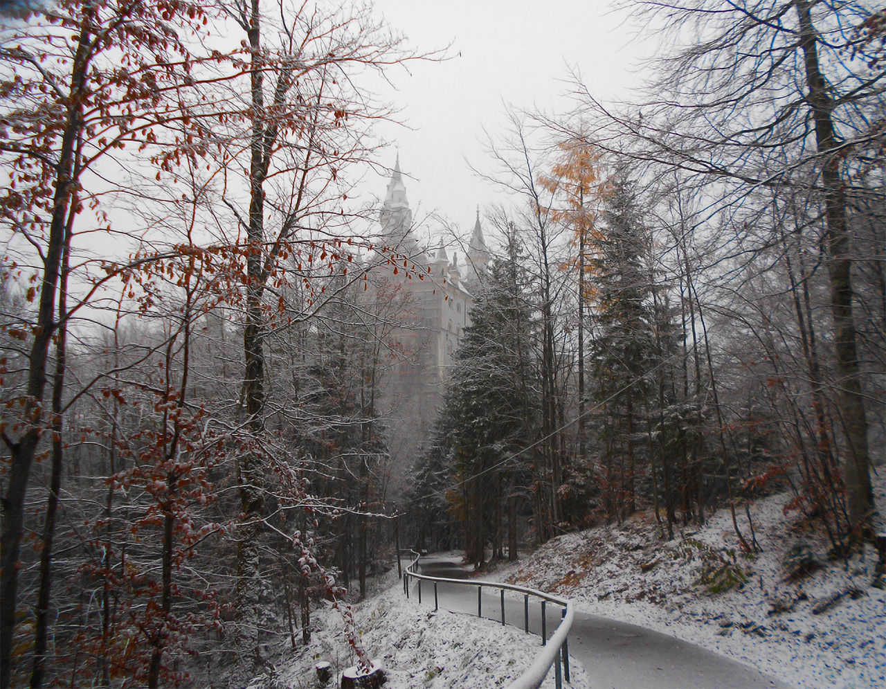Sleepy Neuschwanstein Castle in fog and snow, Bavaria, Germany.
