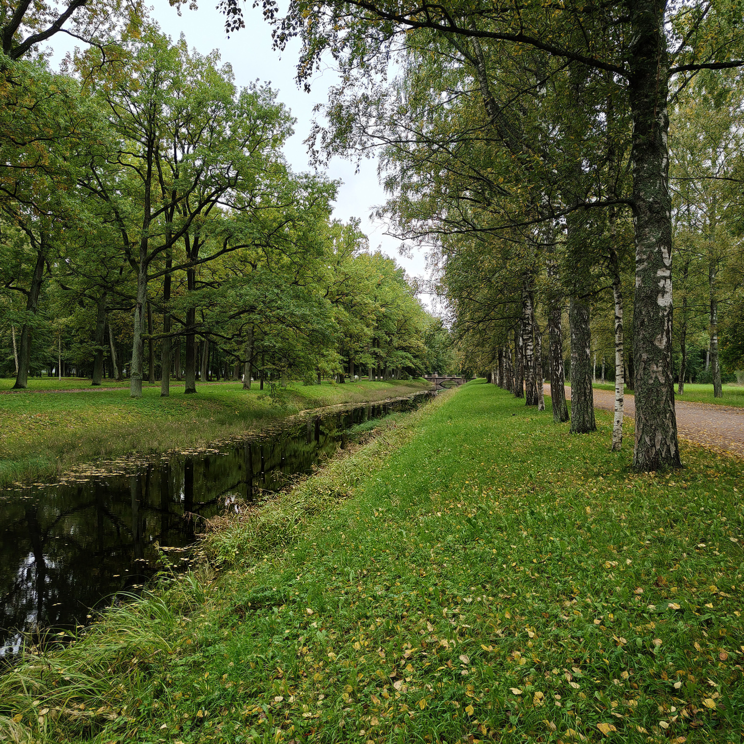 В парке Александровского дворца. Царское Село. Россия.