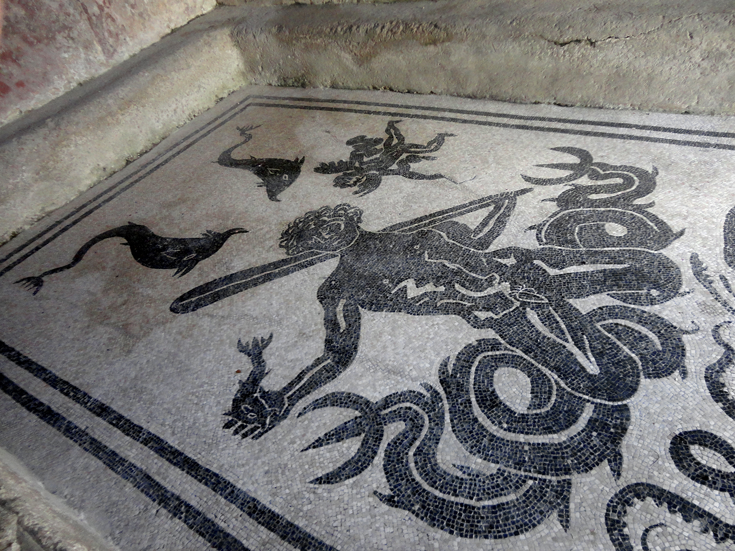 Mosaic in thermae in Herculaneum, Italy.